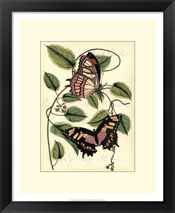 Framed Petite Butterflies IV Print
