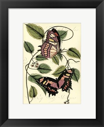 Framed Petite Butterflies IV Print
