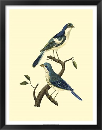 Framed Vintage Bird Pair I Print