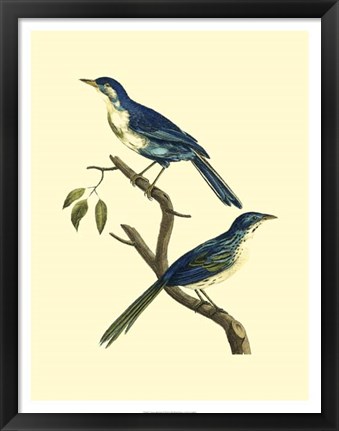 Framed Vintage Bird Pair II Print