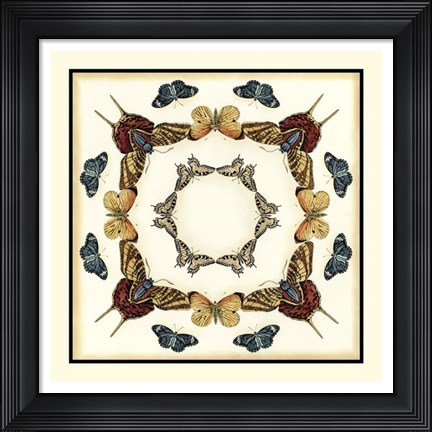 Framed Butterfly Collector I Print