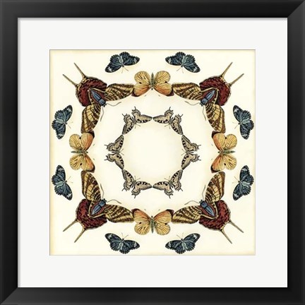 Framed Butterfly Collector I Print