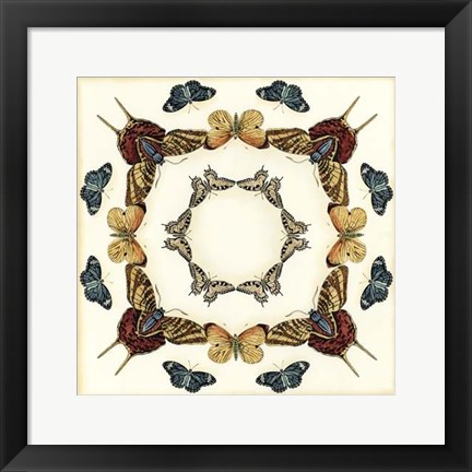 Framed Butterfly Collector I Print