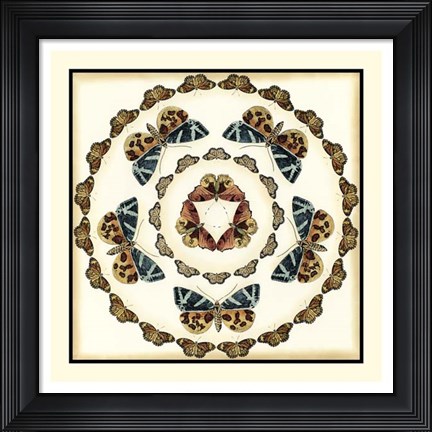 Framed Butterfly Collector III Print