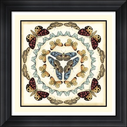 Framed Butterfly Collector IV Print