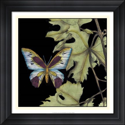 Framed Butterfly on Vine I Print