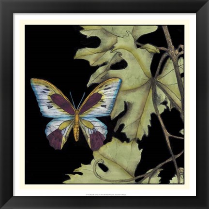Framed Butterfly on Vine I Print