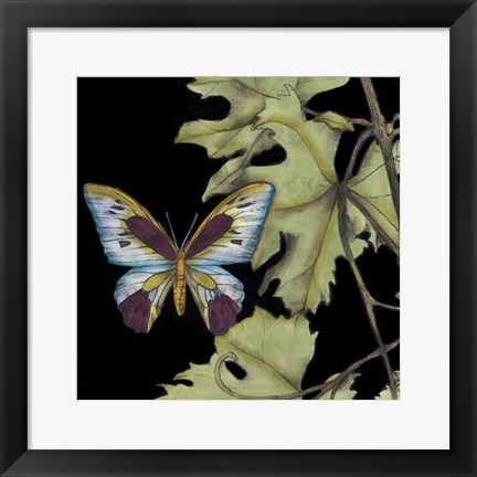 Framed Butterfly on Vine I Print