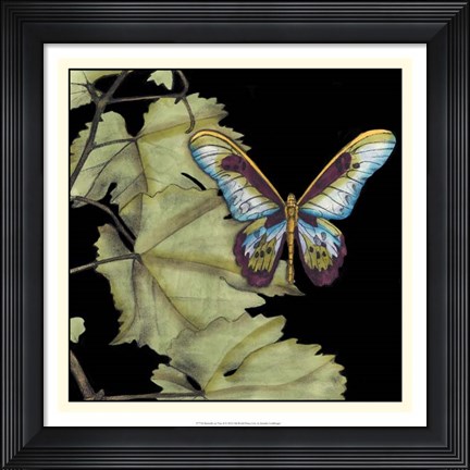 Framed Butterfly on Vine II Print