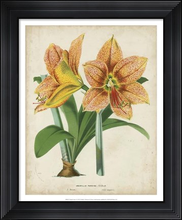 Framed Tropical Array I Print