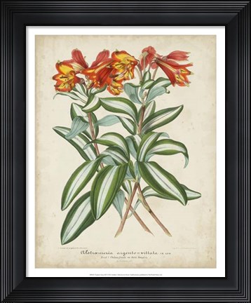 Framed Tropical Array III Print