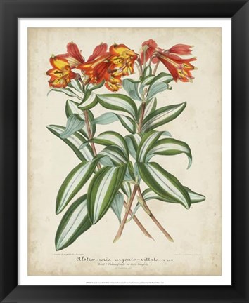 Framed Tropical Array III Print