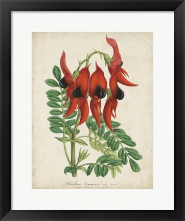 Framed Tropical Array VII Print