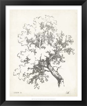 Framed Oak Tree Study Print