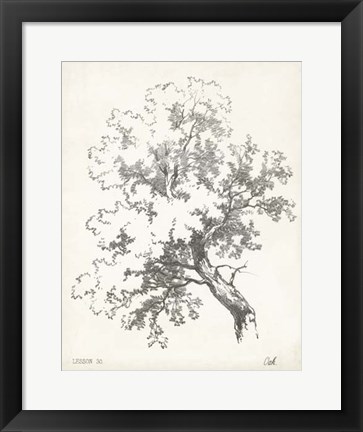 Framed Oak Tree Study Print