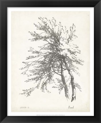 Framed Beech Tree Study Print