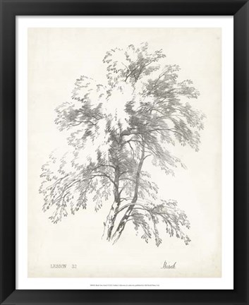 Framed Birch Tree Study Print