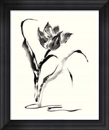 Framed Studies in Ink - Tulip Print