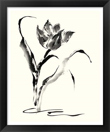 Framed Studies in Ink - Tulip Print