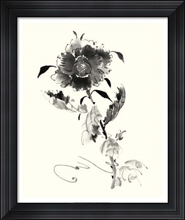 Framed Studies in Ink - Rose I Print