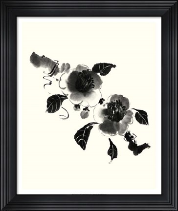 Framed Studies in Ink - Camellia Print