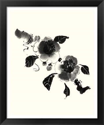 Framed Studies in Ink - Camellia Print