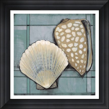 Framed Seashell Sketch I Print