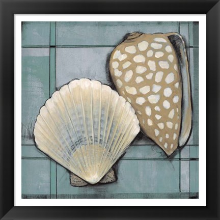 Framed Seashell Sketch I Print