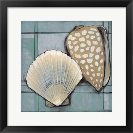 Framed Seashell Sketch I Print