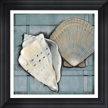 Framed Seashell Sketch II Print