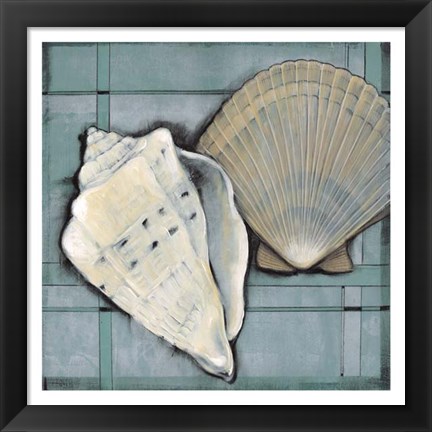 Framed Seashell Sketch II Print