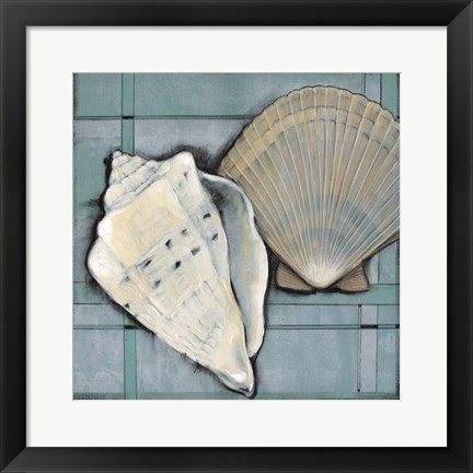 Framed Seashell Sketch II Print