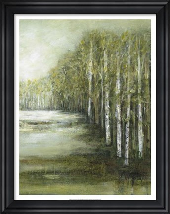 Framed Tranquil Waters II Print