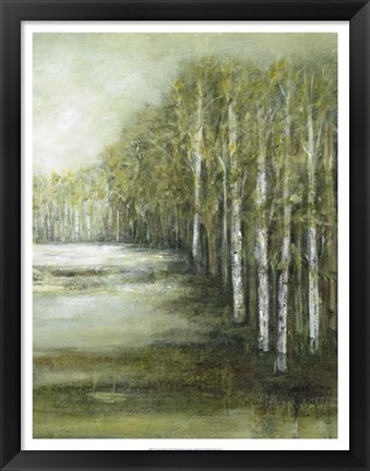 Framed Tranquil Waters II Print