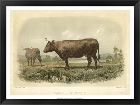 Framed Vache De Devon Print