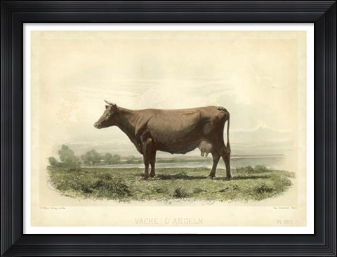 Framed Vache D&#39;Angeln Print