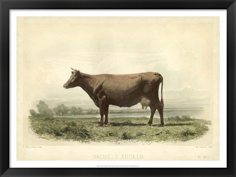 Framed Vache D&#39;Angeln Print