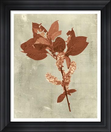 Framed Impressions in Terra Cotta Print