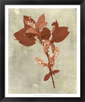 Framed Impressions in Terra Cotta Print