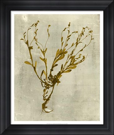 Framed Impressions in Mustard Print