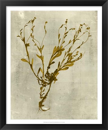 Framed Impressions in Mustard Print