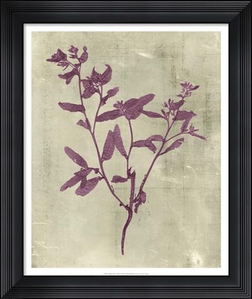 Framed Impressions in Plum Print