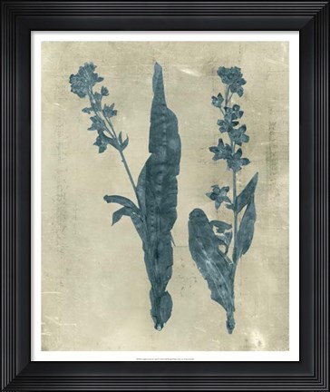 Framed Impressions in Teal Print