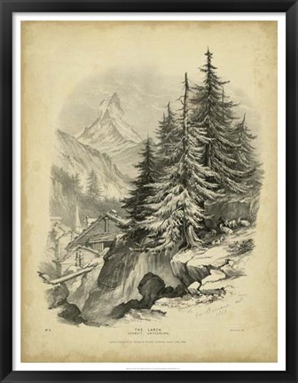 Framed Larch Print