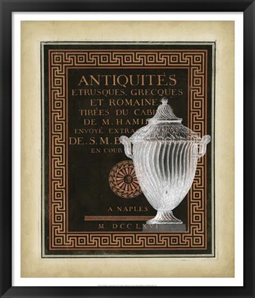 Framed Antiquities Collection III Print