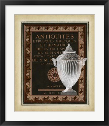 Framed Antiquities Collection III Print
