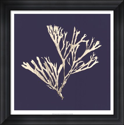 Framed Seaweed on Navy II Print