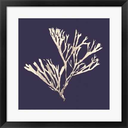 Framed Seaweed on Navy II Print