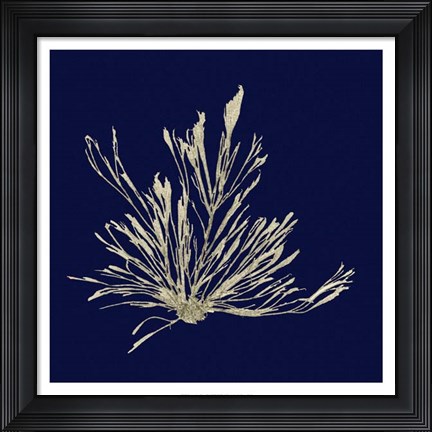 Framed Seaweed on Navy III Print