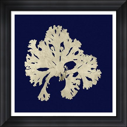 Framed Seaweed on Navy IV Print